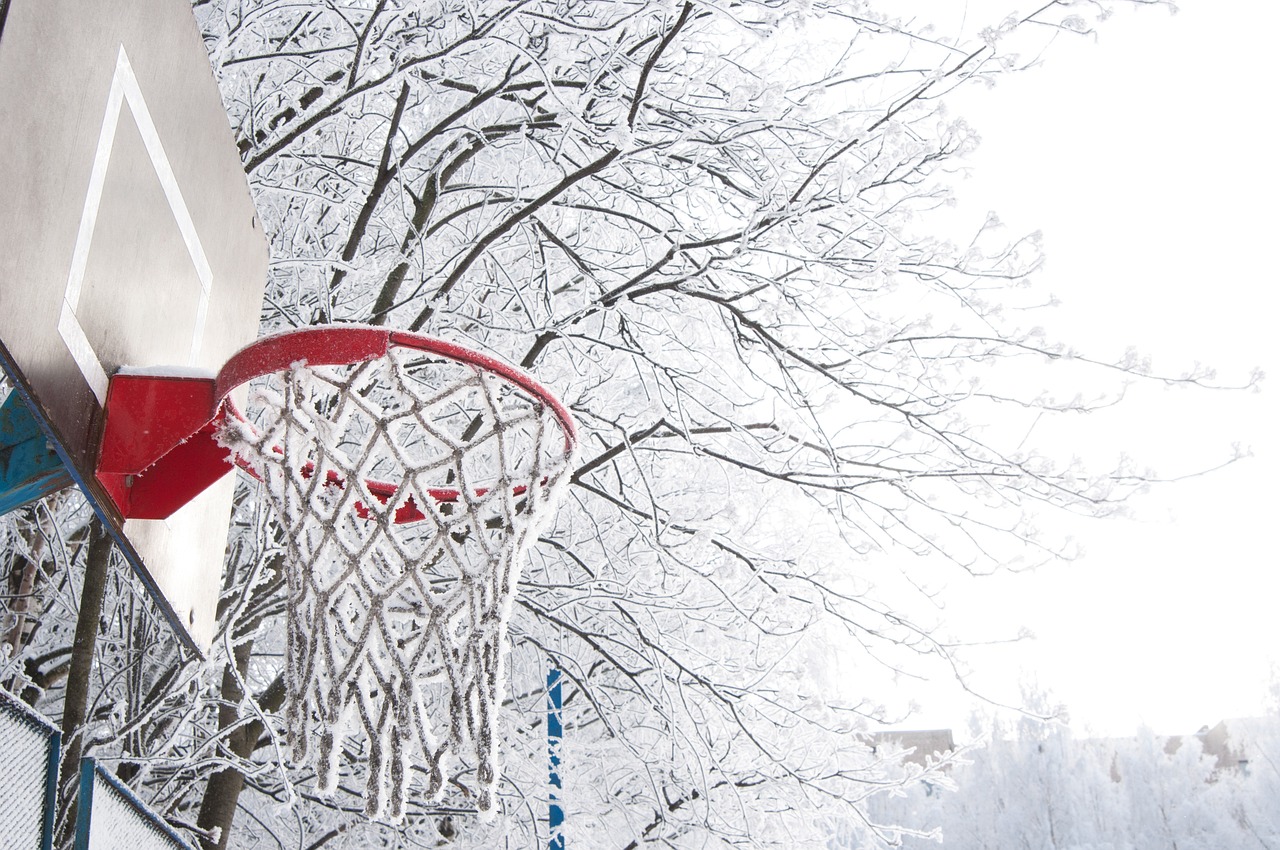 最新老雪花，独特魅力与无限可能性的探索